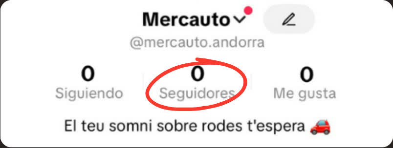 TikTok de Mercauto al crear la cuenta, con 0 seguidores